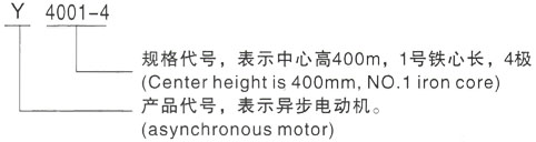 西安泰富西玛Y系列(H355-1000)高压YJTFKK5601-4-1250KW三相异步电机型号说明