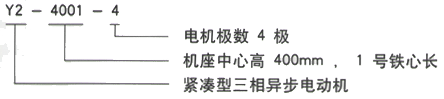 YR系列(H355-1000)高压YJTFKK5601-4-1250KW三相异步电机西安西玛电机型号说明